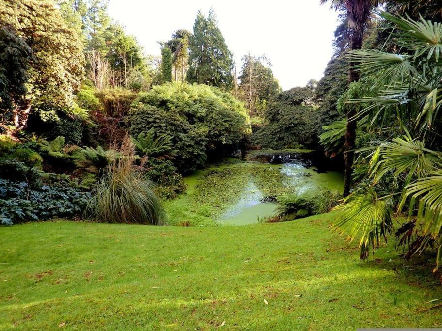White Eden - Explore Cornwall From A Comfy Central Appartment St Austell Buitenkant foto